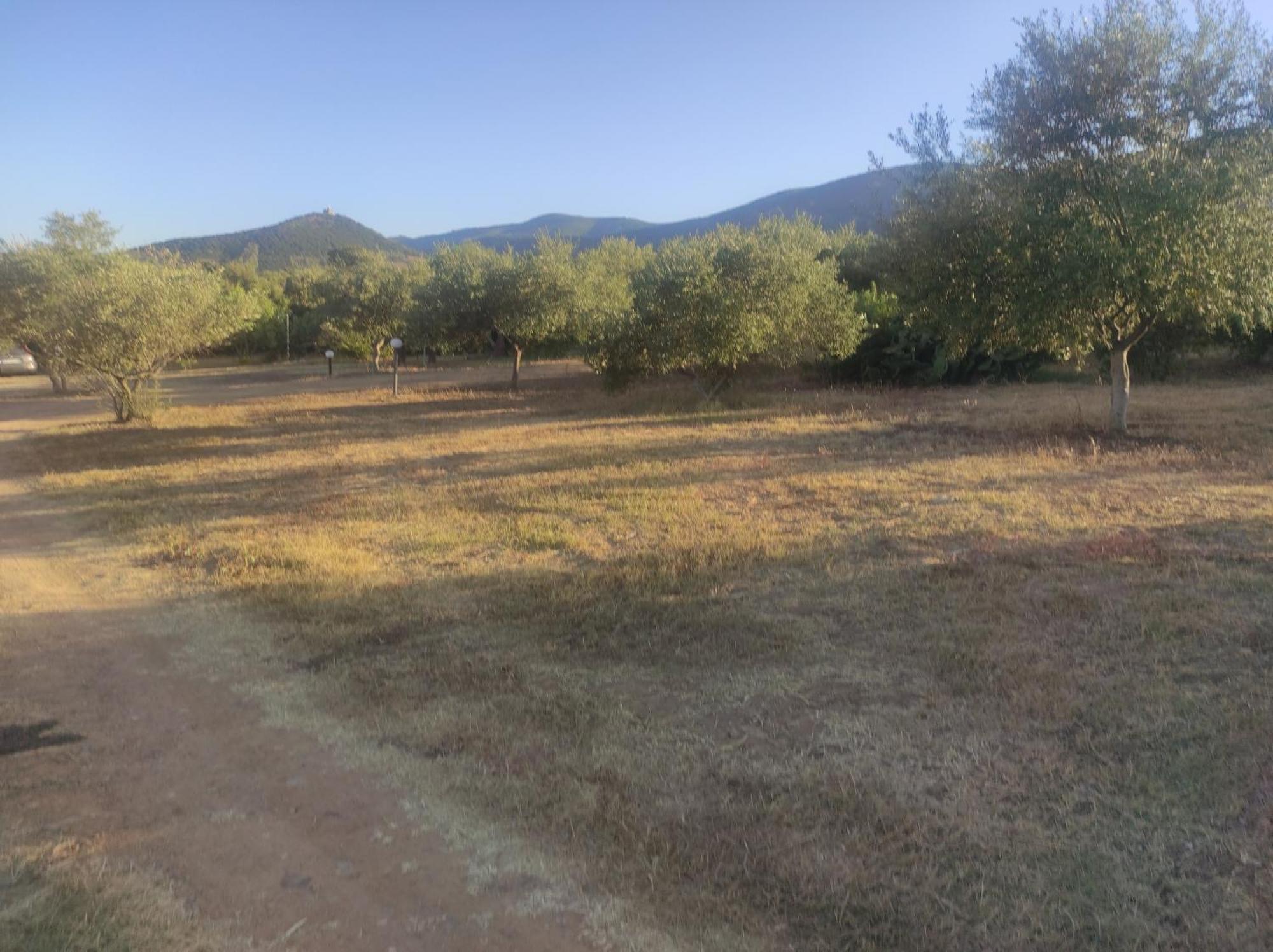 Sa Teria Village Tertenìa Exterior foto